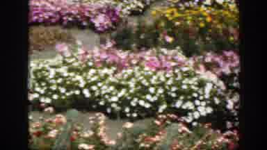 Montreal Canada (1950): Lovely Lady In A Blue Dress Suite Strolling Through A