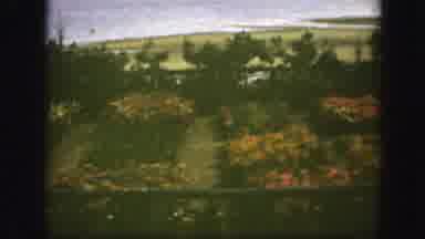 Montreal Canada (1950): Panoramic View Of Wooded Garden With Several Flowering