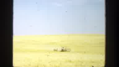 California (1936): The People Are Making Their Way Across The Field Under A Clear