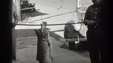 California (1936): Person Walking And Two Men Holding A Fish With Car And Trees In