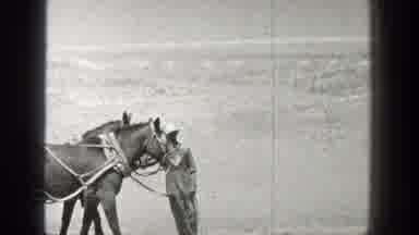California (1936): A Man Is Guiding Some Horses That Are Bridled Together