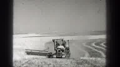 California (1936): Farm Equipment In Action Harvesting The Crop In The Fall