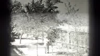 California (1936): Child Playing With Tree In His Wooded Yard