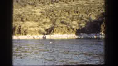 California (1936): View Of Small White Object In Lake Water On A Clear Day