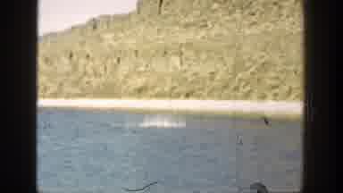 California (1936): Something Is Swimming Below The Surface Of The Water And