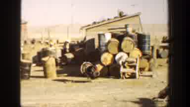 California (1936): A Peacock Walk Past A Collection Of Empty Drums To Meet Another
