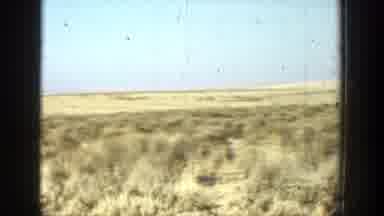 CALIFORNIA-1936: Man Appears To Shoot Something Towards A Vast Area Of Trees Or