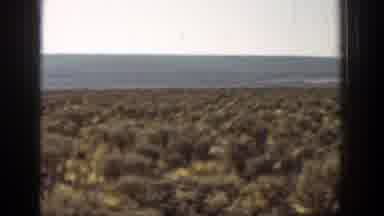 California (1936): Panoramic View Of Shrub Vegetation Blue Sky And Mountains In