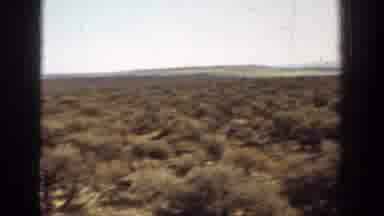 California (1936): View Of Brown Shrubs In Desert Field On A Sunny Day