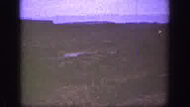 California (1936): Hills Mountain Dog Ears Dark Night Land Listen Cute Curious Old