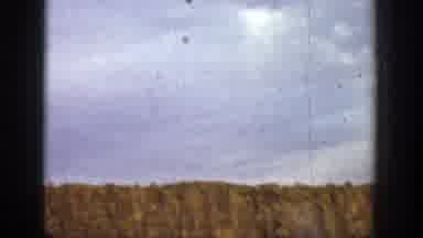 California (1936): Man Wearing Red Shirt Tosses Object Into Air On A Clear Sunny