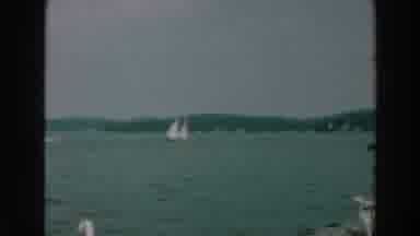 Lake Winnebago Wisconsin (1964): Wide Angle View Of Marina Boats Are In The Water