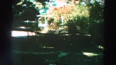 Lake Winnebago Wisconsin (1964): View Of Green Trees And Red Flowers On A Sunny