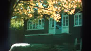 Lake Winnebago Wisconsin (1964): View Of The Backyard With Trees And Garden With