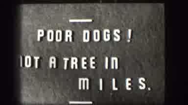 Kansas (1958): Message Announces Lack Of Trees Along The Road