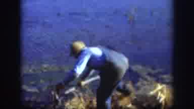 Kansas (1958): An Outdoor Home Movie Depicting A Man Collecting A Bird That He