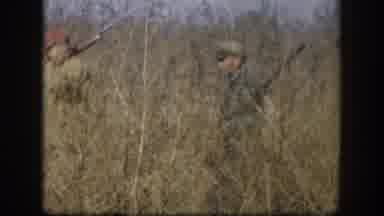Kansas (1958): Hunted Walking In The Bush And On The Road With Foxes