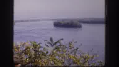 Kansas (1958): People Enjoying Beautiful View Of The Sea With Lots Of Vegetation