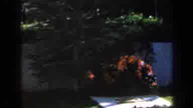 Israel (1960): Flowers Surround The Tablet Of A Grave In A Cemetery With A