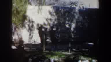 Israel (1960): Two Mothers Hold Their Children In A Shaded Area Beneath A Tree