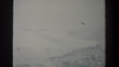 Israel (1960): A Grayish Image Of A Natural Landscape