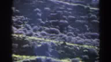 Israel (1960): View Of Extensive Mountain Area With Vegetation And Shrub Flowers