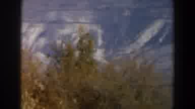 Israel (1960): View Of Hills Water Mountain In A Nature Park With A Fence