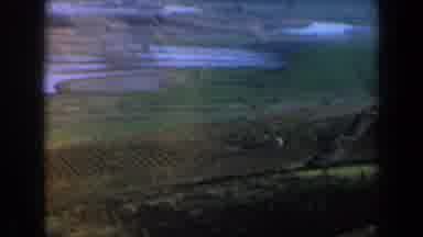Israel (1960): A Beautiful Rural Area With Rice Fields And Pond
