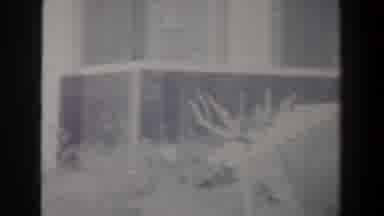 Israel (1960): View Of White Modern Building And Tree On A Hazy Day