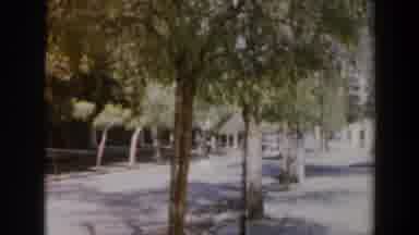 Israel (1960): White Car Drives By Green Tree On A Bright Sunny Day