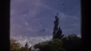 Israel (1960): View Of Hills And Green Trees On A Hazy Day