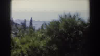 Israel (1960): View Of Green Trees Sea And Tan City Buildings On A Clear Breezy