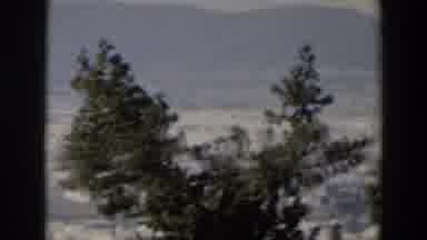 Israel (1960): A Landscape With Big Trees And Mountains Surrounding An Entire City
