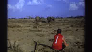 South Africa (1969): Person In A Red Shirt Sitting Watching Elephants In Their