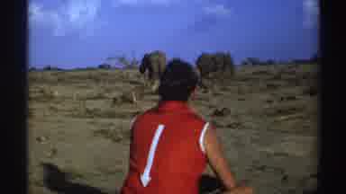 South Africa (1969): Adult Woman Wearing Red Watches The Elephant With Delight