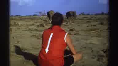 South Africa (1969): Woman Watching The Elephants Curiously