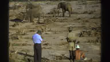 South Africa (1969): Two People Stand In Barren Brown Field Looking At Three