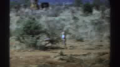 South Africa (1969): One Sunny Day At The Grassy Bushy Land