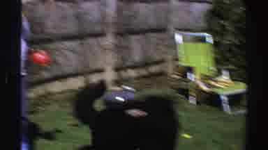 Michigan (1969): A Woman Out In The Backyard Playing Catch With Her Dog