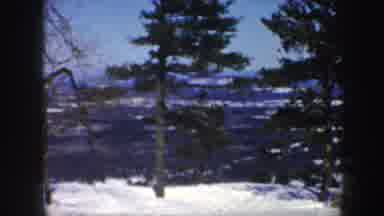 Vermont (1962): Trees In The Snow From A Viewpoint Area In The Winter