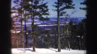 Vermont (1962): A Section Of Forest On A Cold Winter Period Filled With Snow