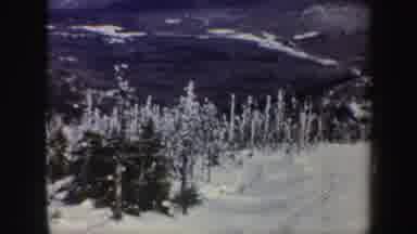 Vermont (1962): Snow-Covered Trees And Landscapes People Skiing Frozen Mountains