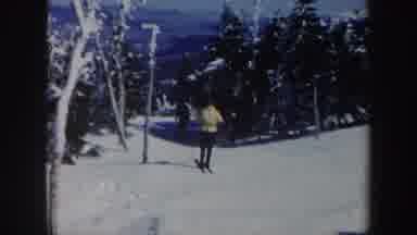 Vermont (1962): Skiers Move Down The Slope On Sunny Day Large Trees Line The