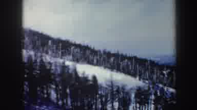 Vermont (1962): View Of Snow Covered Trees On A Clear Sunny Winter Day