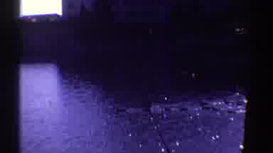 Colorado-1969: Ducks Swimming In Flooded Town