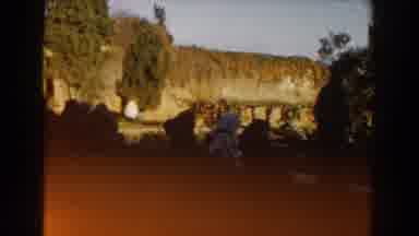 Casablanca (1959): View Of Vine Covered Brown Building On A Sunny Day