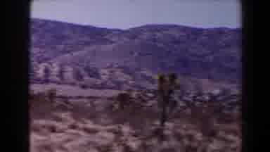 Las Vegas (1958): Panoramic View Of Desert Vegetation Cacti And Mountains In The