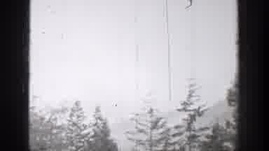Chelan Washington (1939): View Of Telephone Pole And Trees On A Hazy Day