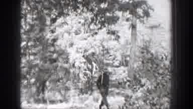 Chelan Washington (1939): Black And White Slim Of A Man Walking In A Forest