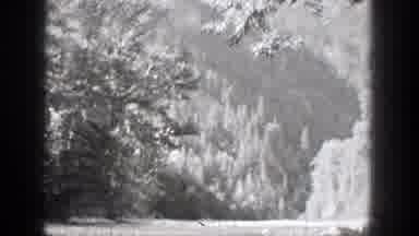 Chelan Washington (1939): Two Men Fishing In Their Little Boat In A Pond